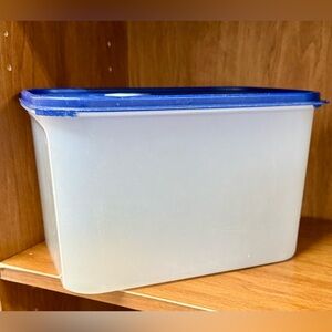 Tupperware Blue Lid White Container